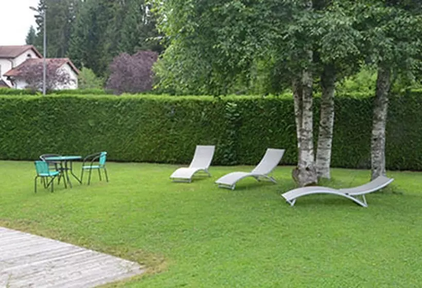 Отель Hôtel Les Perce Neige