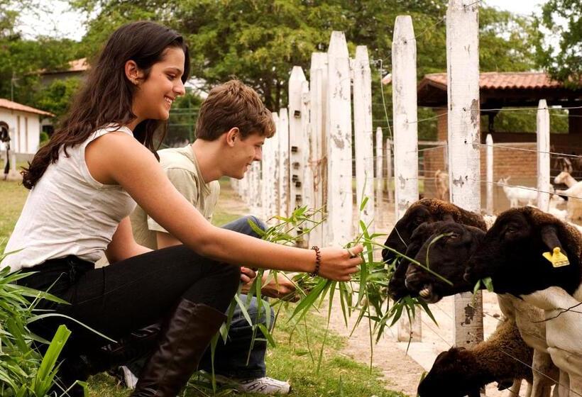 فندق Portal De Gravata