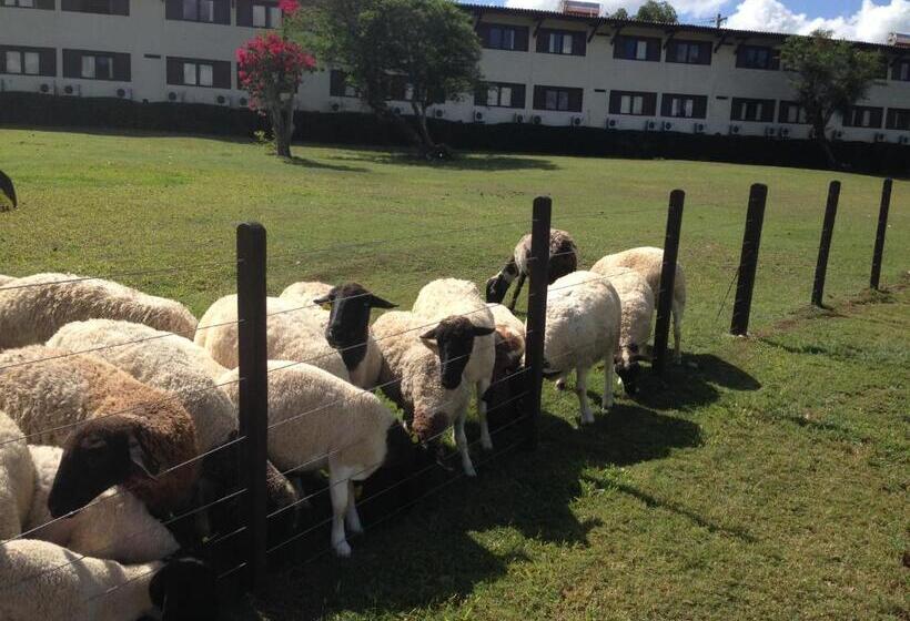 فندق Portal De Gravata