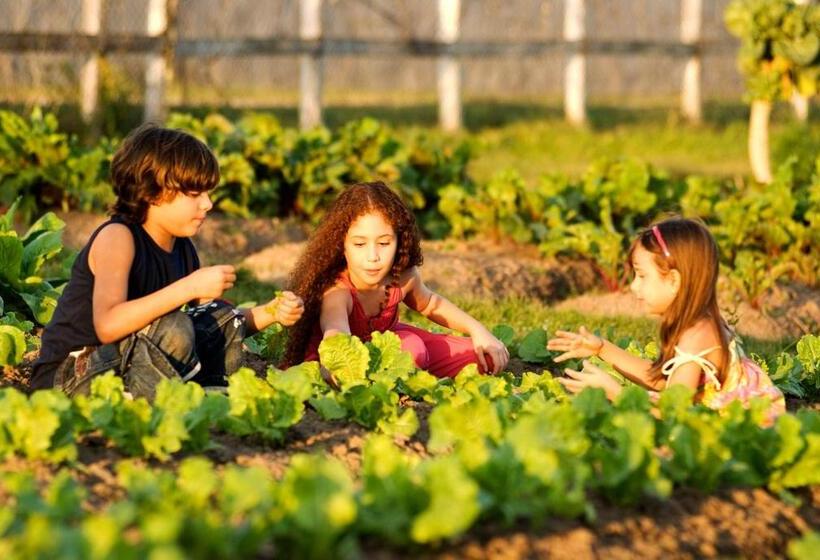 فندق Portal De Gravata