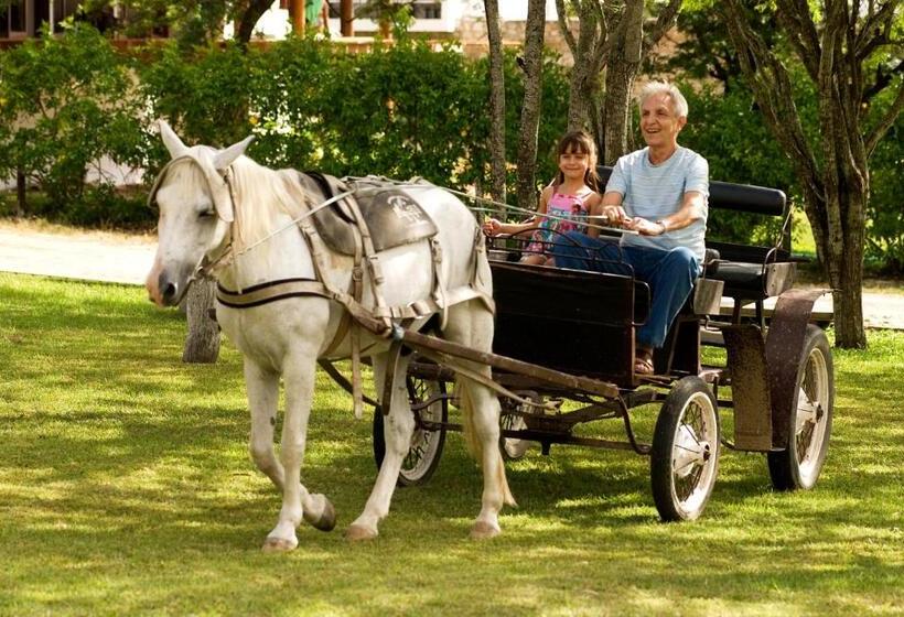 فندق Portal De Gravata