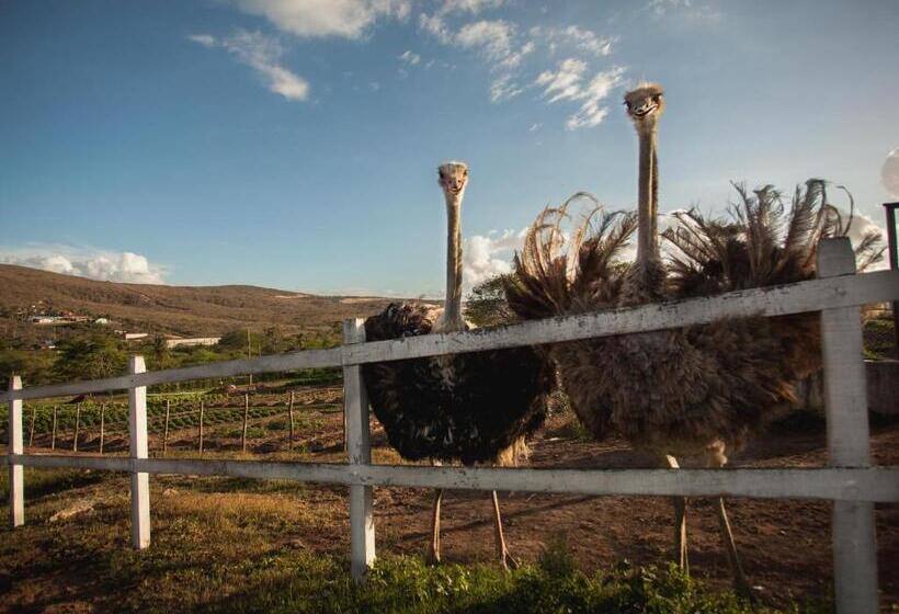 فندق Portal De Gravata