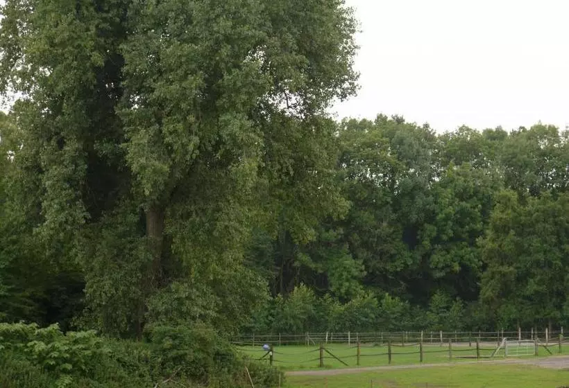 酒店 Ruhrstadtarena