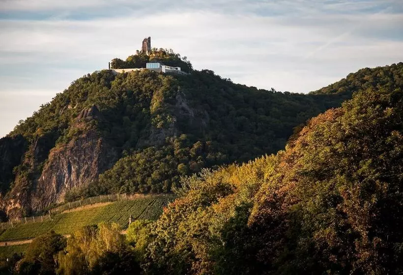 Отель Villa Von Sayn