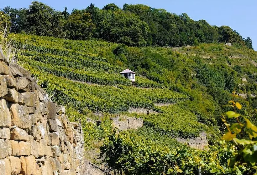 Romantik Hotel Meisenheimer Hof