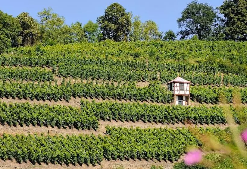 Romantik Hotel Meisenheimer Hof