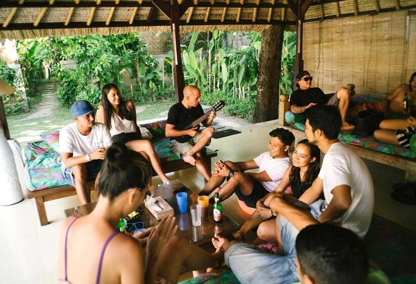 הוסטל Blind Dog Inn