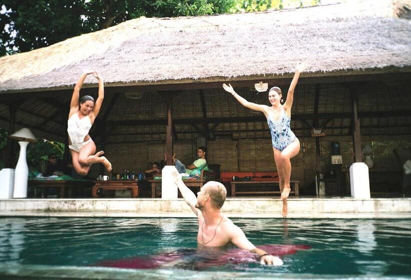 הוסטל Blind Dog Inn