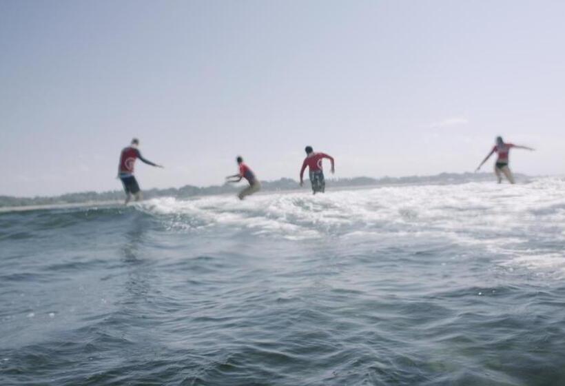 הוסטל Blind Dog Inn