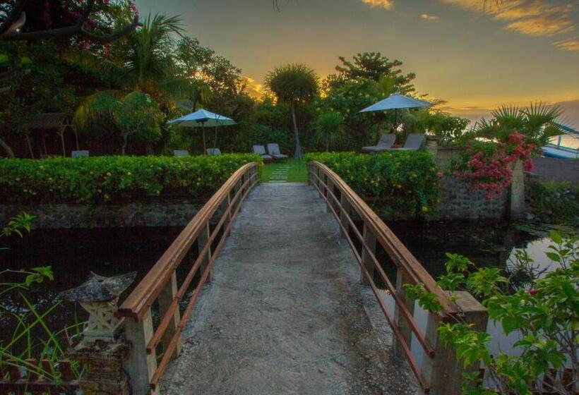 Arya Amed Beach Resort And Dive Center