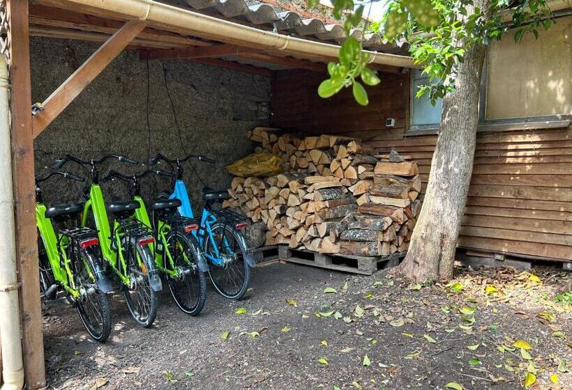 تختخواب و صبحانه La Villa Carcassonne, Cité 8 Min à Pieds, Clim, Piscine, Full Wifi, Borne 7,5kw, Vélo élect, Parking