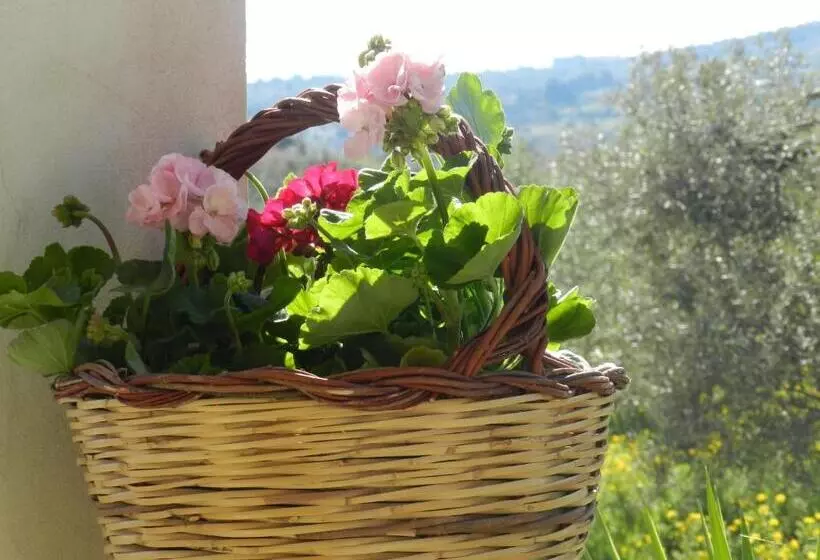 هتل Masseria Santacatrini