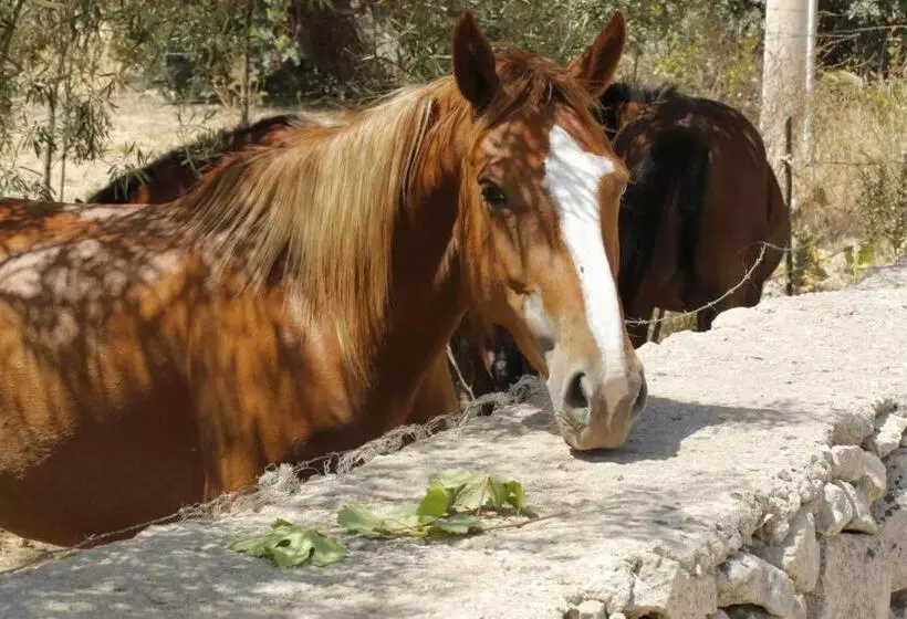هتل Masseria Santacatrini