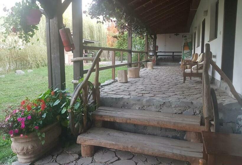 Пансион Vila Sura Razoare