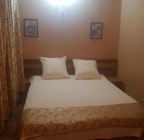 膳宿费 Vila Sura Razoare