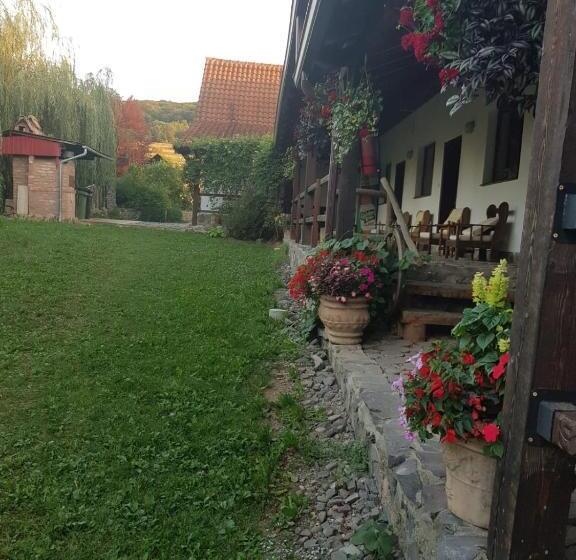 膳宿费 Vila Sura Razoare