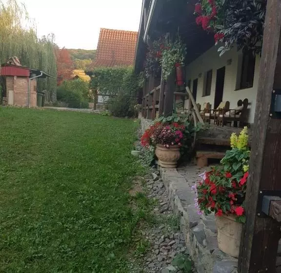 پانسیون Vila Sura Razoare