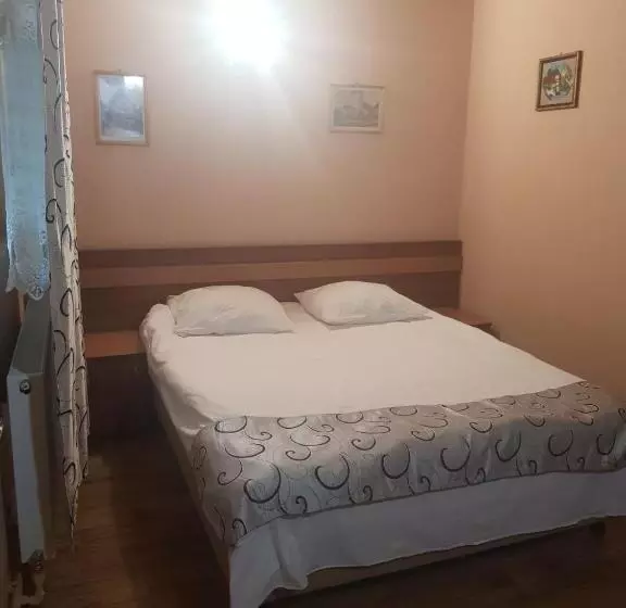 پانسیون Vila Sura Razoare
