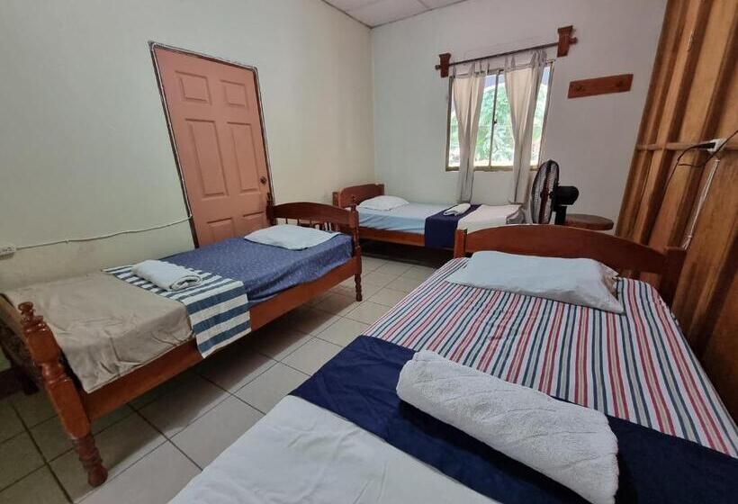 تختخواب و صبحانه Ometepe House