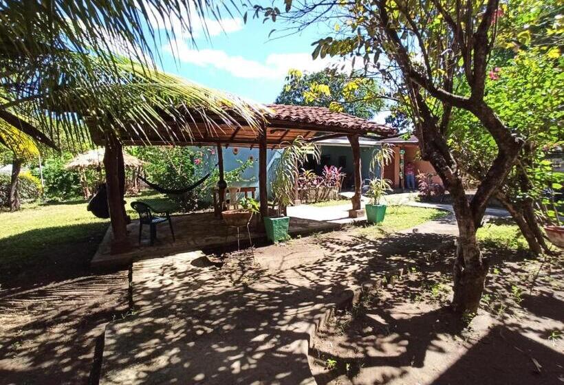 تختخواب و صبحانه Ometepe House
