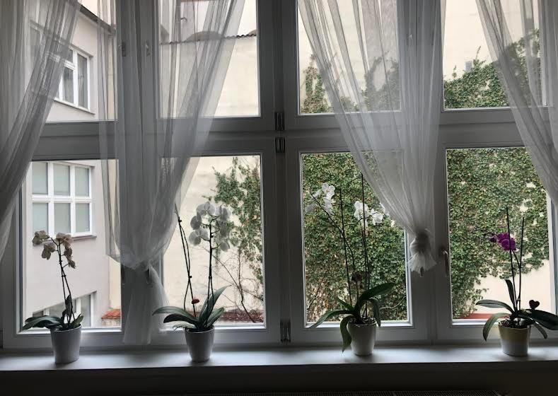 Cozy Apartment In The City Centre