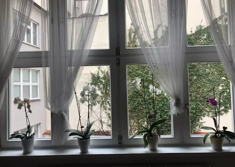 Cozy Apartment In The City Centre