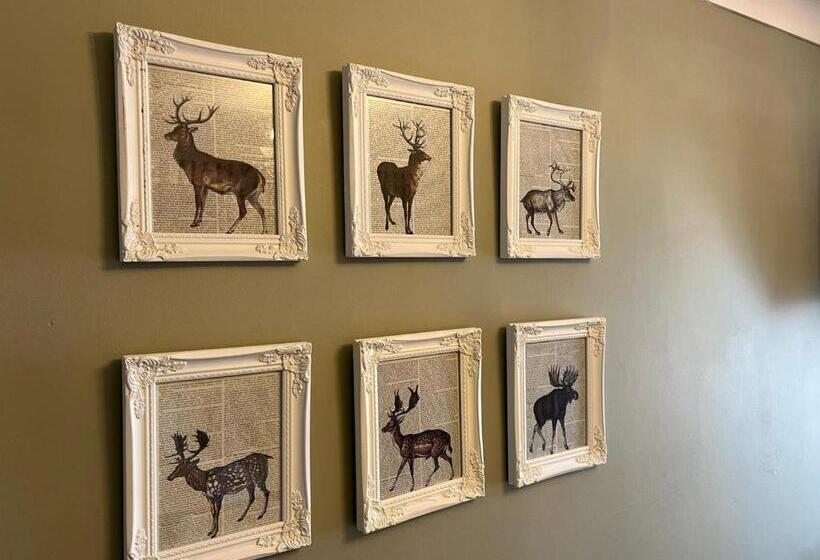 호텔 Mcgraths Blackpool