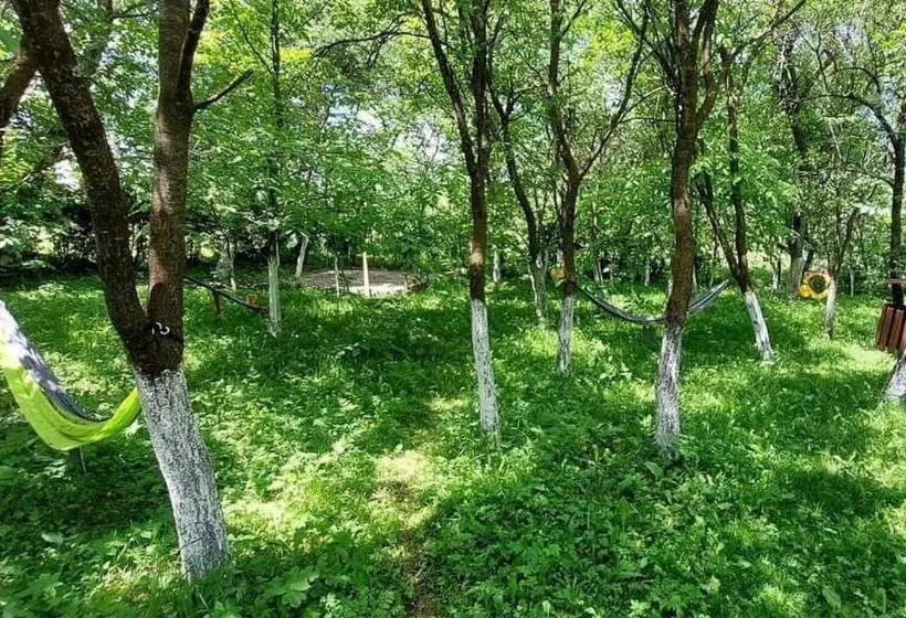 ペンション Casa Grai Moroșănesc