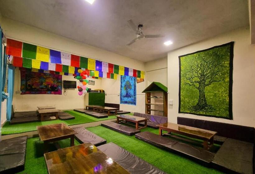 بنسيون Oak View