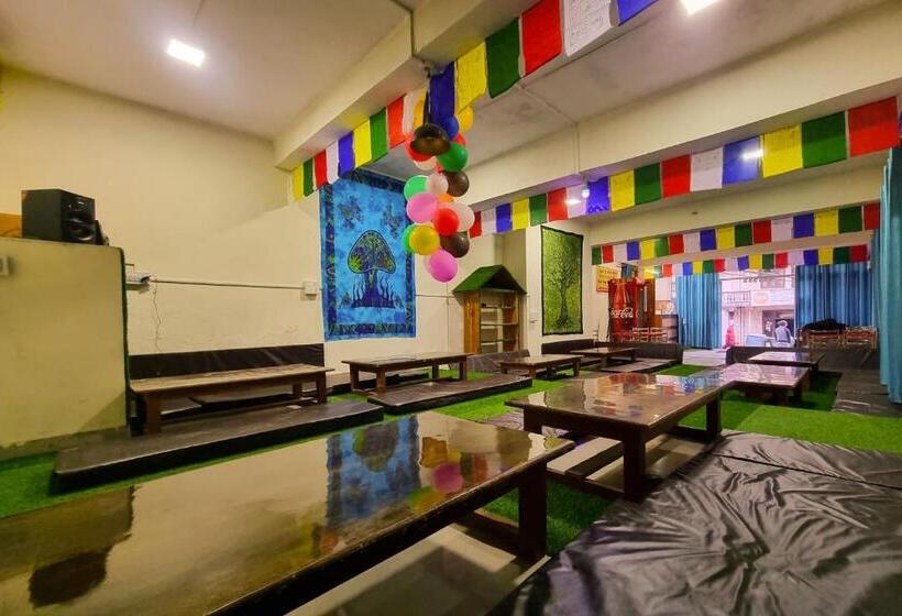 بنسيون Oak View