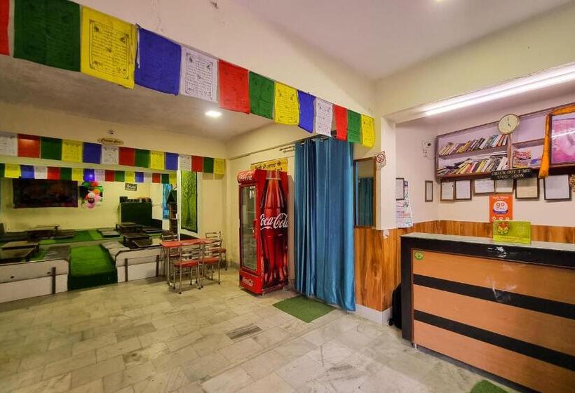 بنسيون Oak View