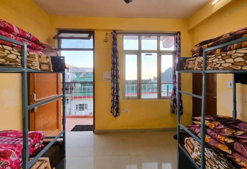 بنسيون Oak View