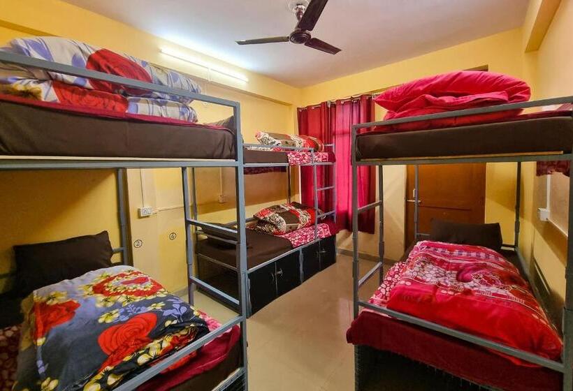 بنسيون Oak View