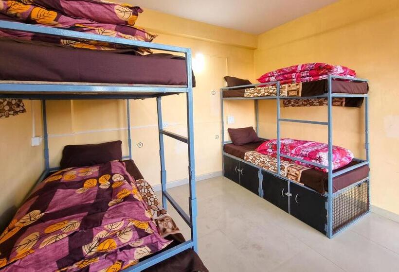 بنسيون Oak View