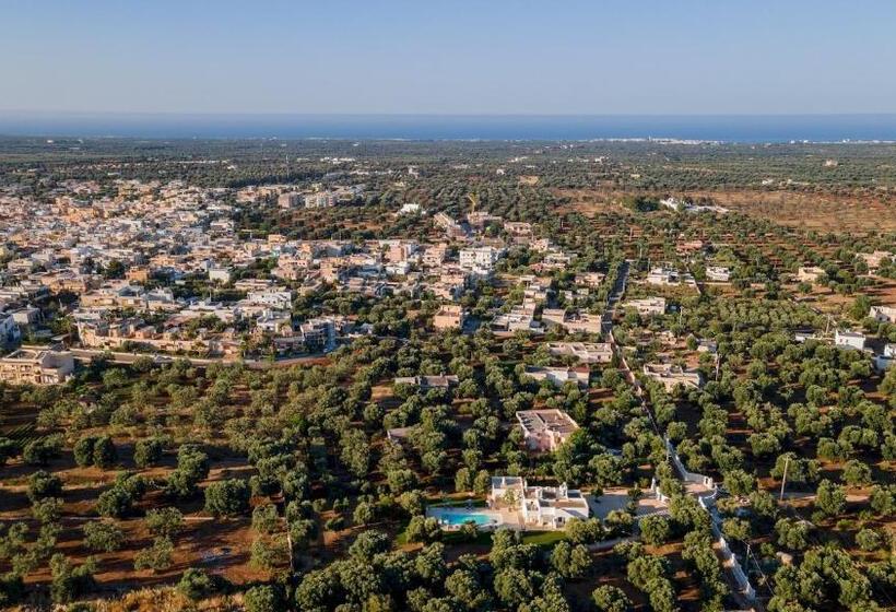 La Torre Di Monsignore 12 2