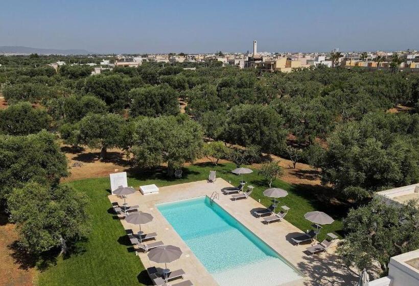 La Torre Di Monsignore 12 2