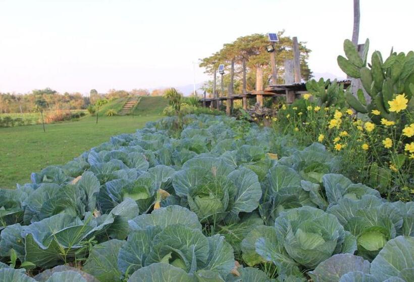 פנסיון เฮือนกว่าง