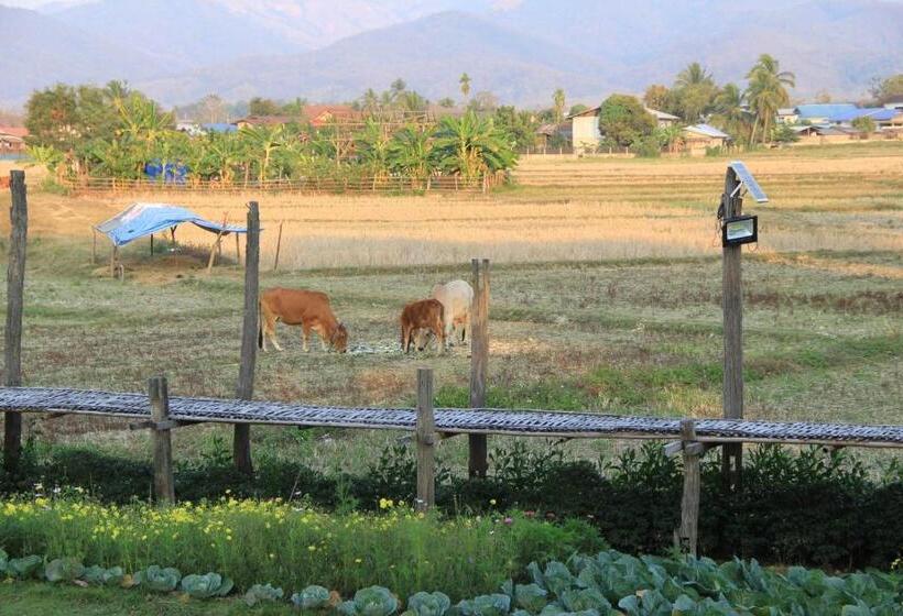 פנסיון เฮือนกว่าง