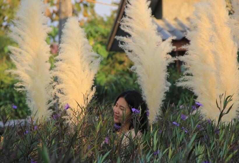 פנסיון เฮือนกว่าง