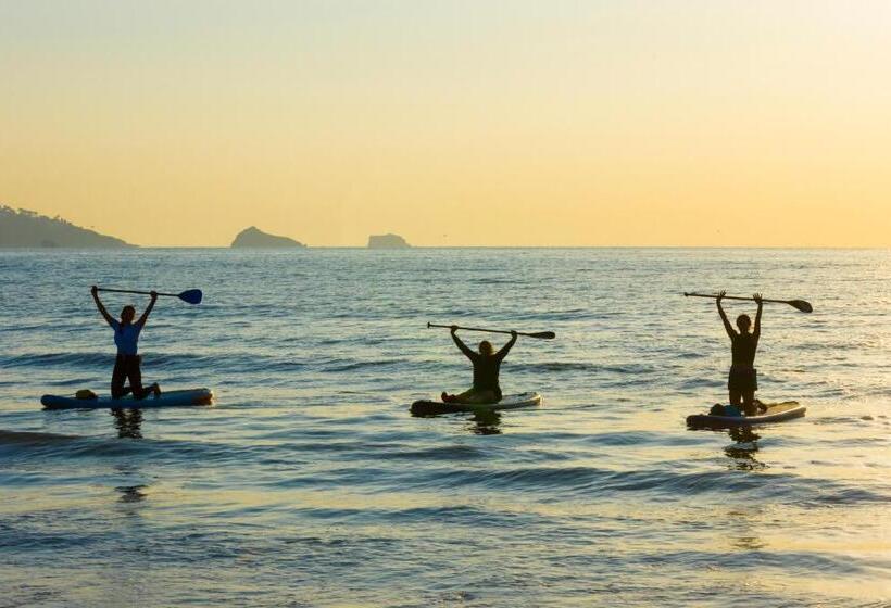 Bolton Plaice, Brixham
