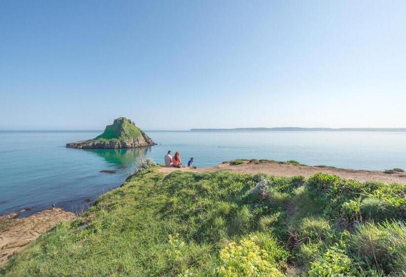 Bolton Plaice, Brixham