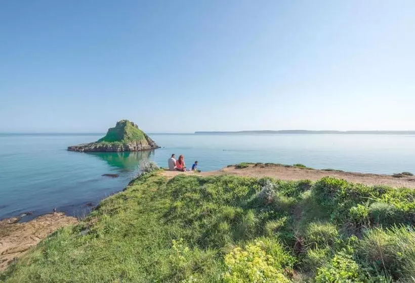 Bolton Plaice, Brixham