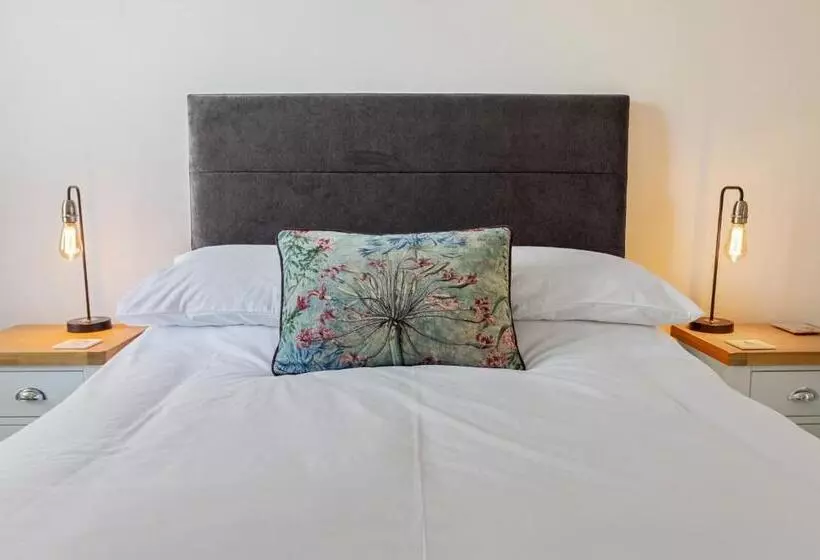 Bolton Plaice, Brixham