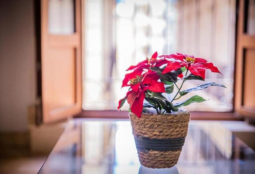 Cartagenaflats, Apartamentos Calle Mayor, City Center