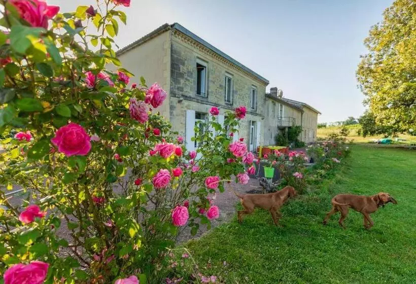 Countryhome At Winery Chateau Camponac