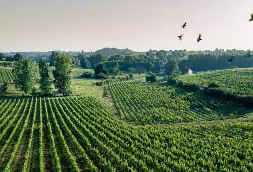Countryhome At Winery Chateau Camponac
