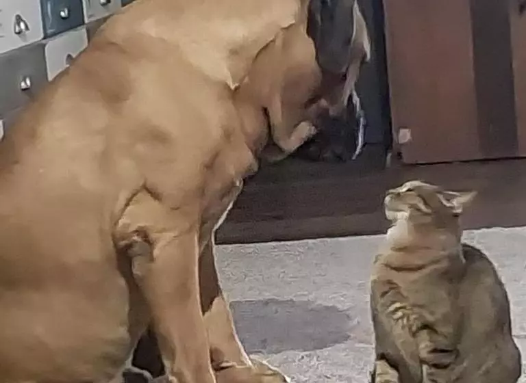 Hekpoort Rorymi Guest Farm