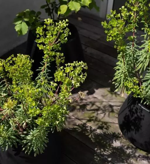 Luxuryapartmentsoulforcity