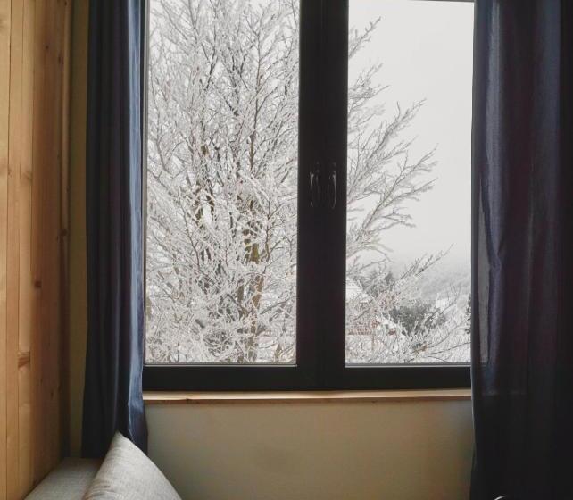 پانسیون Montana