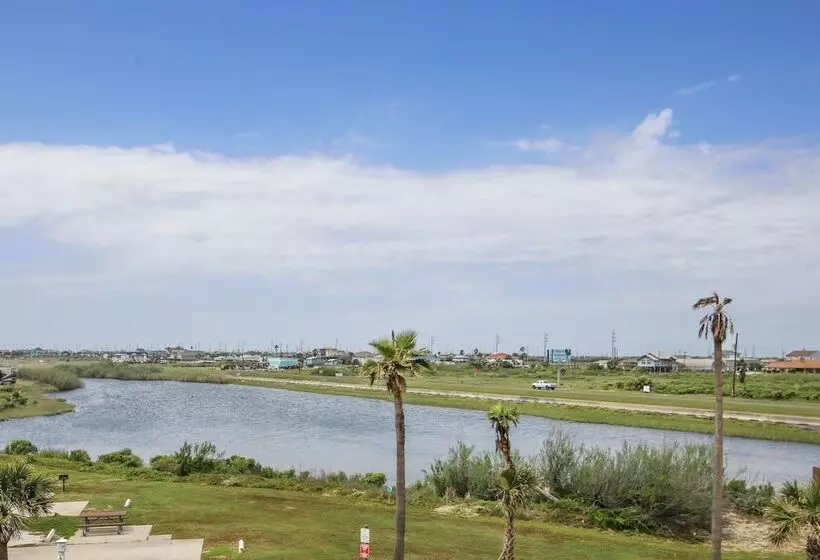 Seascape 1206   Pineapple Paradise